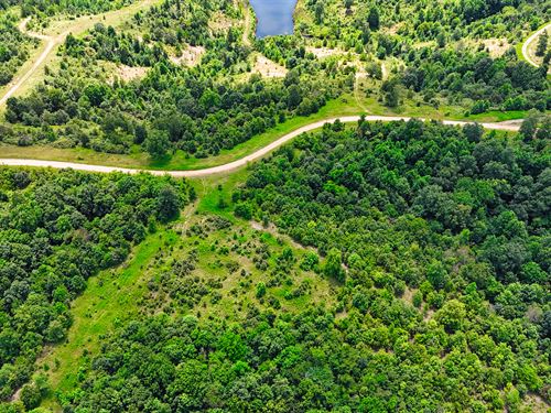 75.12 Acres of Tennessee Timberland : Stewart : Tennessee