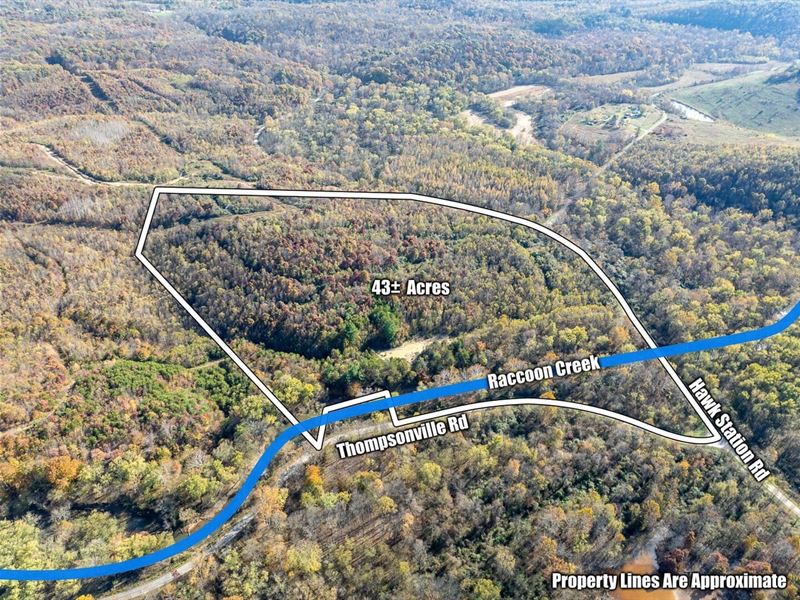 Hawk Station, 43 Acres : Vinton : Vinton County : Ohio