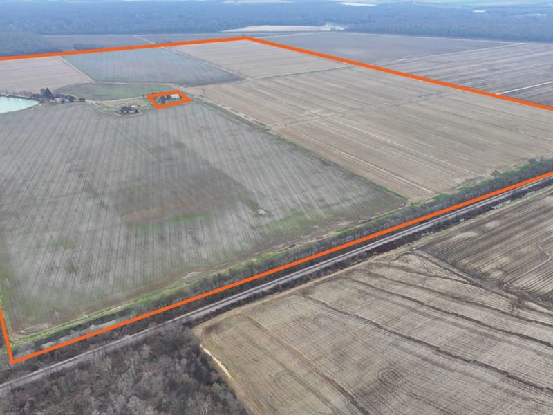 Harold Brothers Farm : Corning : Clay County : Arkansas