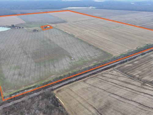 Harold Brothers Farm : Corning : Clay County : Arkansas