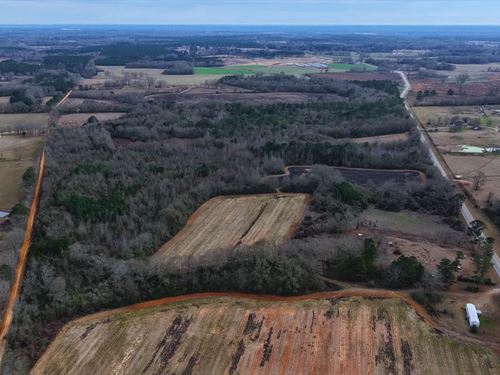116.52 Acres in Crenshaw County, AL : Rutledge : Crenshaw County : Alabama