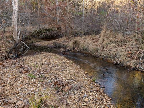 Will Not Last, $999 Down : Russellville : Franklin County : Alabama