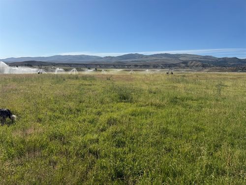 Northeast Oregon Ranch : Hereford : Baker County : Oregon