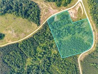 15.7 Acres, Power & Fiber Internet : Dover : Stewart County : Tennessee