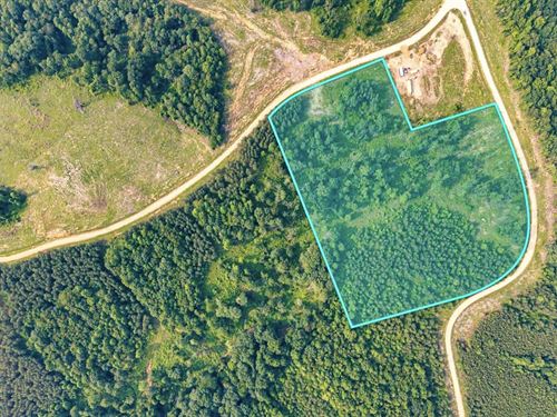 15.7 Acres, Power & Fiber Internet : Dover : Stewart County : Tennessee