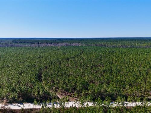 28 Acres on Owens Road in Wayne Cou : Odum : Wayne County : Georgia