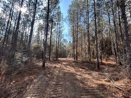 11 Acres, Magnolia, MS : Magnolia : Pike County : Mississippi