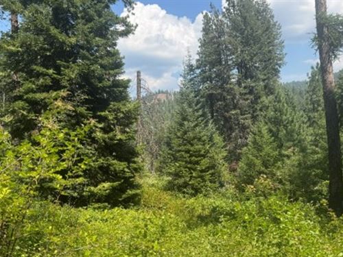 Council Recreation & Building Lot : Council : Adams County : Idaho