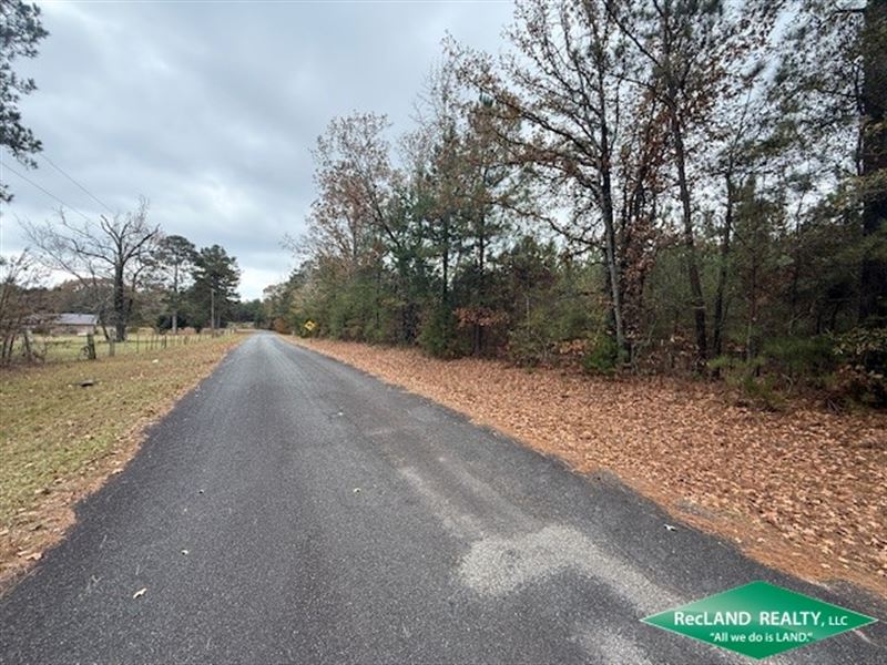 48 Ac Pine Plantation : Cotton Valley : Webster Parish : Louisiana