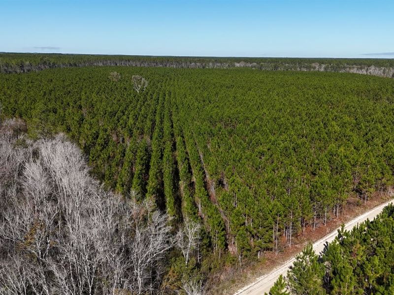 29 Acres on Owens Road in Wayne Cou : Odum : Wayne County : Georgia