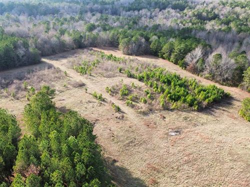 24 Chambers County, AL Pasture Pote : Lanett : Chambers County : Alabama