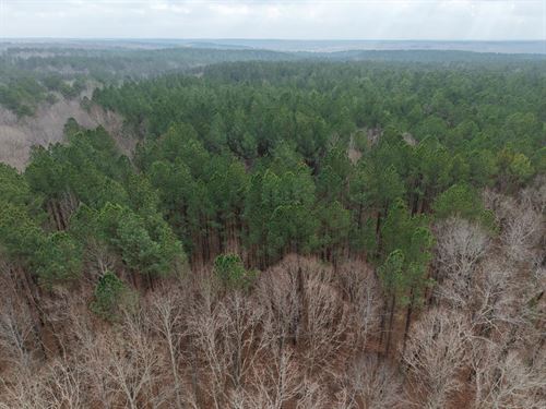 46 Acres in Benton County, TN : Holladay : Benton County : Tennessee