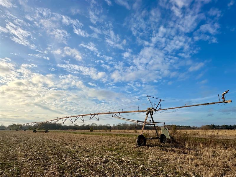 105 Acres Perry County Row Crop Far : Marion : Perry County : Alabama