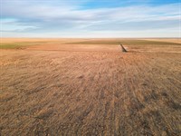 Texas and New Mexico Land Auction : Earth : Lamb County : Texas