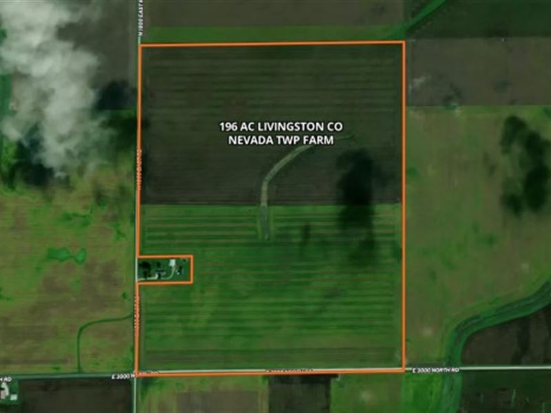 196 AC Livingston Co Nevada Twp Far : Odell : Livingston County : Illinois