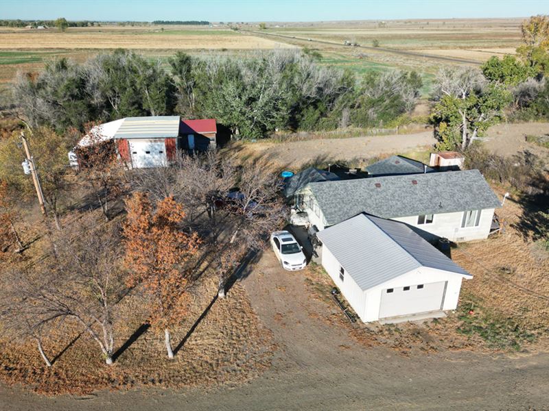 Wolf Point Irrigated Farm : Wolf Point : Roosevelt County : Montana