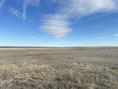 Platner North Land Auction : Otis : Washington County : Colorado