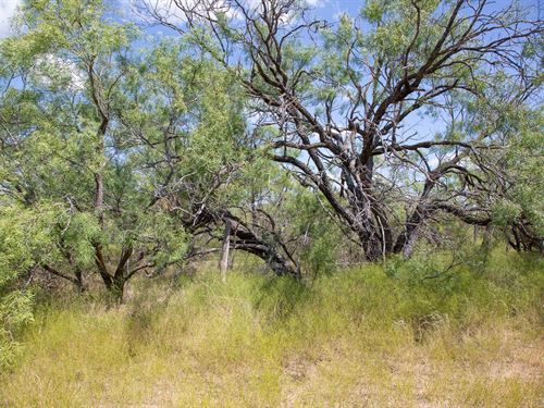 $999 Down with Electric : Doole : McCulloch County : Texas