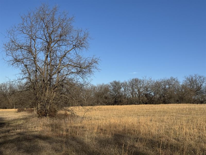 River Ridge Grassland : Lecompton : Douglas County : Kansas