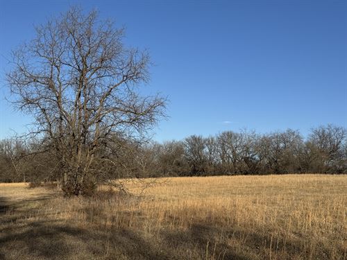 River Ridge Grassland : Lecompton : Douglas County : Kansas