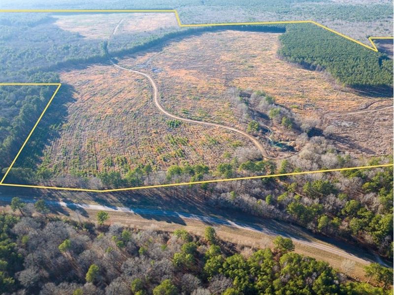 458 Acres, FM 1159, 3875 : Clarksville : Red River County : Texas