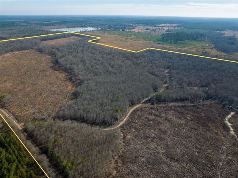 660 Acres, Highway 37, 3873 : Bagwell : Red River County : Texas