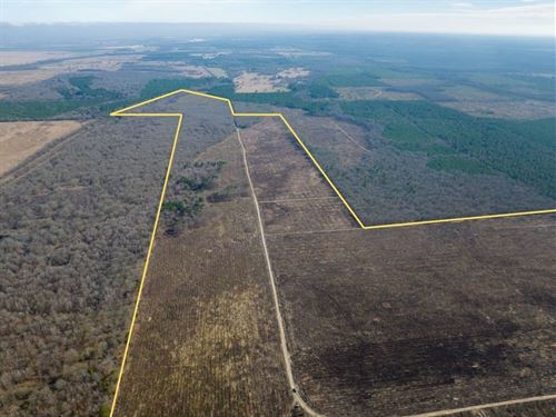 502 Acres, FM 195, 3872 : Bagwell : Red River County : Texas