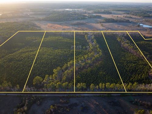 23 Acres, T-6, County Road 4415 : Annona : Red River County : Texas