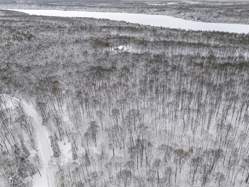 Phelps Acreage : Phelps : Vilas County : Wisconsin