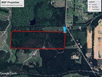 Grady Pines Tract : Cairo : Grady County : Georgia