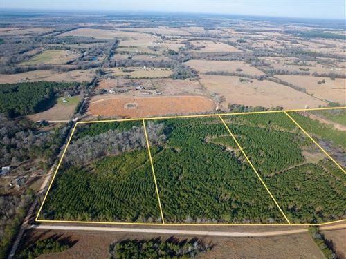 80 Acres, T-5, County Road 4245 : De Kalb : Bowie County : Texas