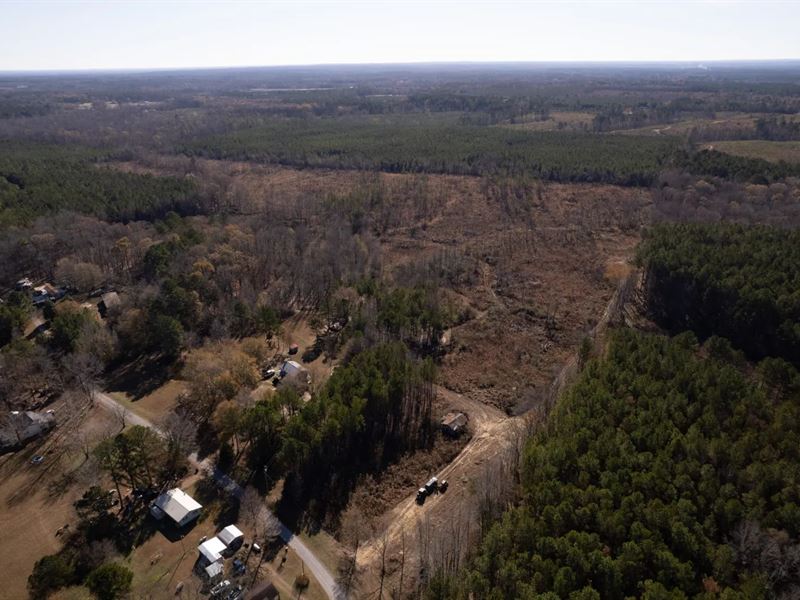 60 Acres in Webster County, MS : Mantee : Webster County : Mississippi