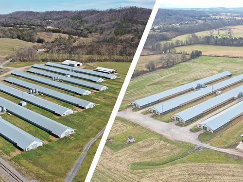 Mountain Valley Broiler Farm : Whitesburg : Hamblen County : Tennessee