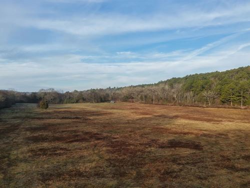 21.02 Acres Tract 8 in Montgomery : Oden : Montgomery County : Arkansas