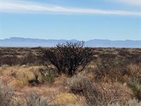 Pristine 10-Acre Mountain View : Presidio City : Presidio County : Texas