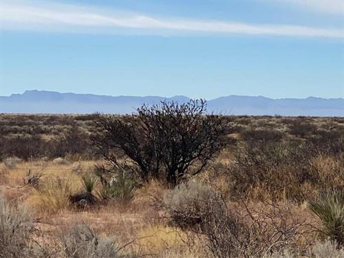 Pristine 10-Acre Mountain View : Presidio City : Presidio County : Texas