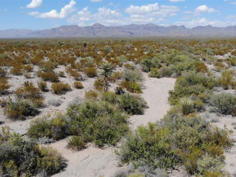 Stunning 10-Acre Mountain View : Presidio City : Presidio County : Texas