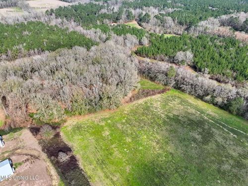 34 Acres in Amite County MS Near Mc : Smithdale : Amite County : Mississippi