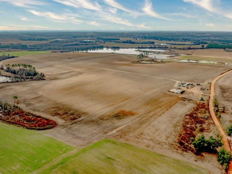 George Hill Road Farm : Lyons : Toombs County : Georgia