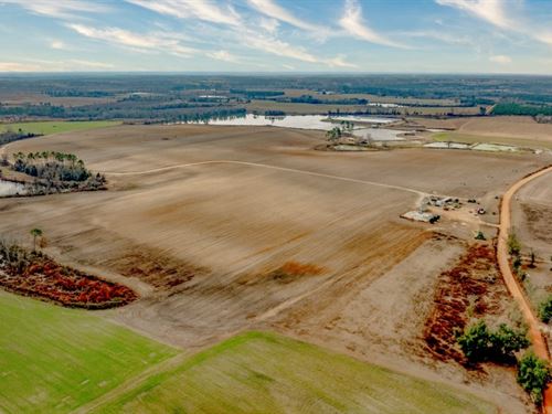 George Hill Road Farm : Lyons : Toombs County : Georgia