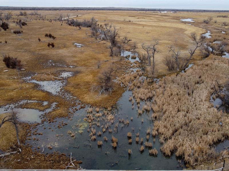 Henry 37 Wildlife Oasis : Henry : Scotts Bluff County : Nebraska