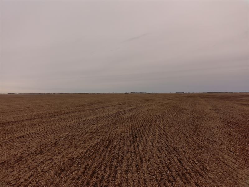 Online-Only Auction, 156 Acres : Redfield : Spink County : South Dakota