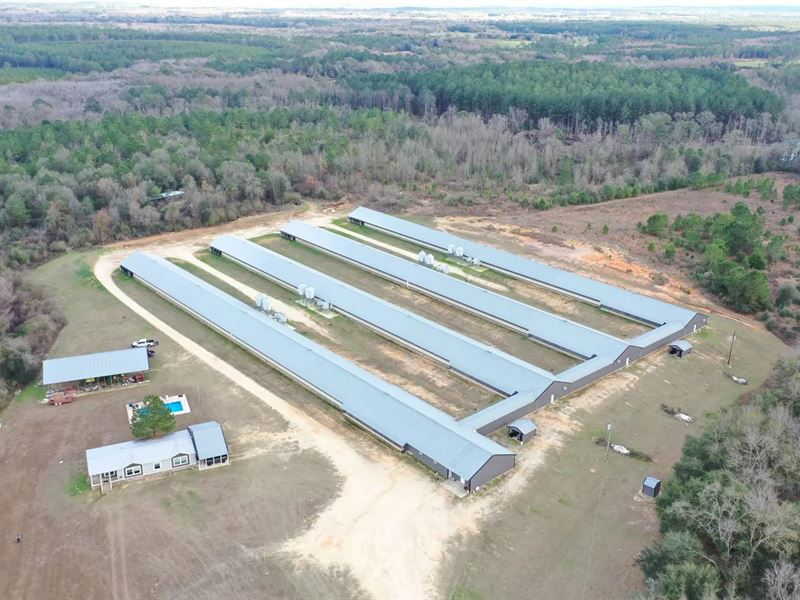 Shaken Breeder Farm : Samson : Geneva County : Alabama