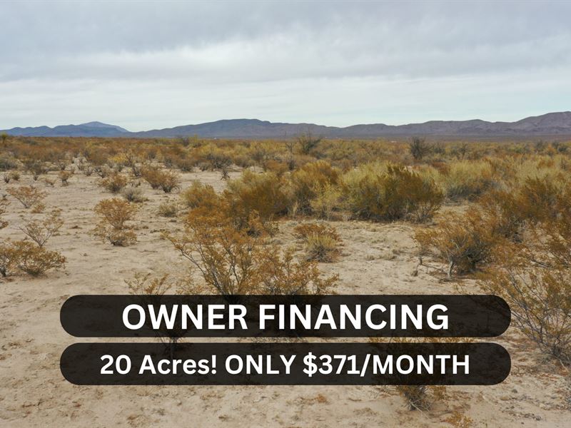 20 Acres in Tx- Owner Financing : Cornudas : Hudspeth County : Texas