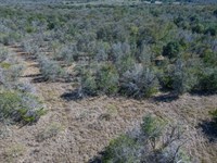 21 Acres in Bastrop County, TX : Watterson : Bastrop County : Texas