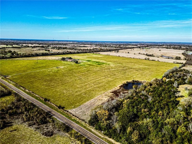 61.6 Acres Ready for Your Vision : Normangee : Madison County : Texas