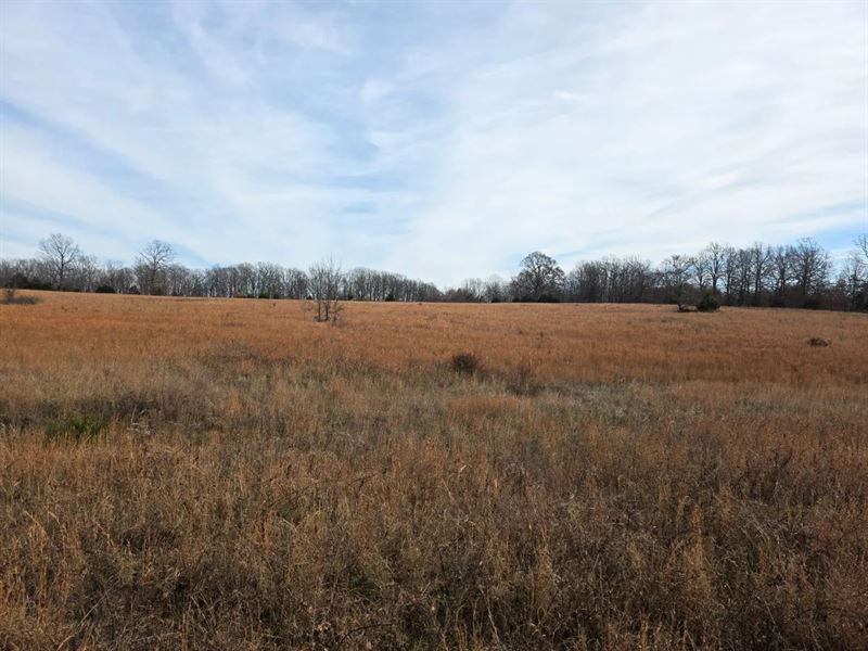 40 Acres in Sharp County, AR : Ravenden : Sharp County : Arkansas