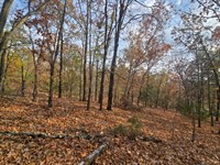 30 Acres with Sardis Lake Views : Clayton : Pushmataha County : Oklahoma