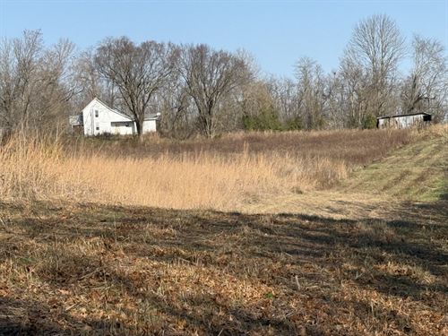 120 Acre Farm and Hunting Property : Campbellsville : Taylor County : Kentucky