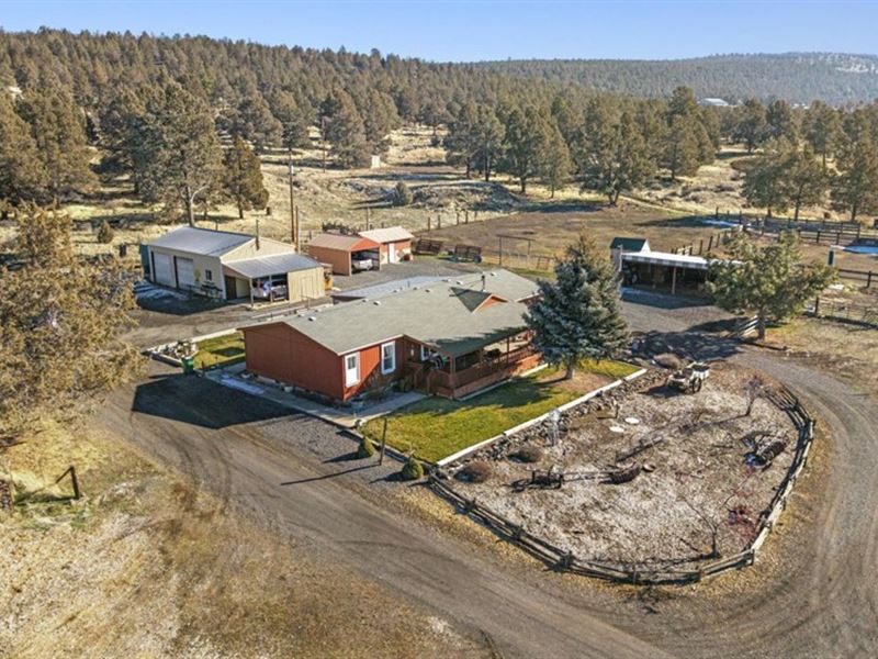 Great Horse Property : Bonanza : Klamath County : Oregon